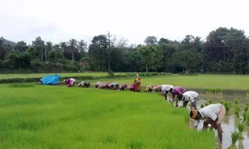 ಮಧ್ಯಂತರ ಬಜೆಟ್ ನಲ್ಲಿ ರಕ್ಷಣೆಗೆ ಸಿಂಹಾಪಾಲು; ಕೃಷಿಗೆ ಕನಿಷ್ಠ