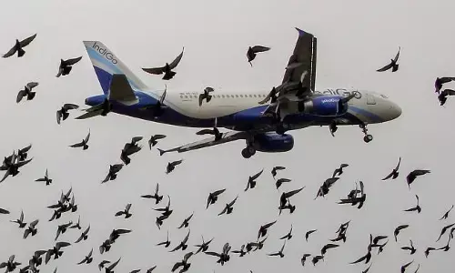 ಪಕ್ಷಿ ಸಂರಕ್ಷಣೆ ಕುರಿತು ಫೆ.5 ರಿಂದ ಅಂತರರಾಷ್ಟ್ರೀಯ ಕಾರ್ಯಾಗಾರ