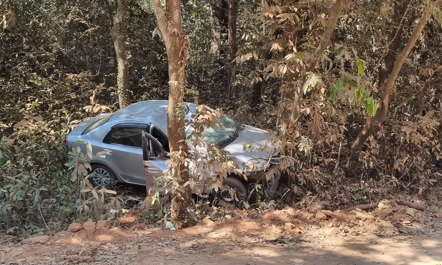 ಬೆಳ್ತಂಗಡಿ: ಮರಕ್ಕೆ ಕಾರು ಢಿಕ್ಕಿ; ಚಾಲಕ ಮೃತ್ಯು