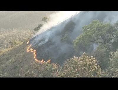 ಮುಳ್ಳಯ್ಯನಗಿರಿ: ಕಾಡ್ಗಿಚ್ಚಿಗೆ ನೂರಾರು ಎಕರೆ ಹುಲ್ಲುಗಾವಲು, ಕಾಡು ಬೆಂಕಿಗಾಹುತಿ