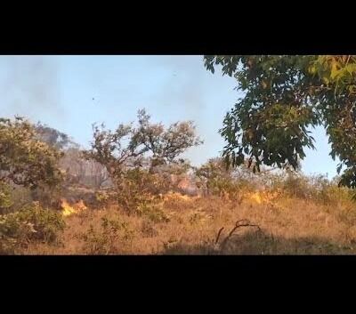 ಚಿಕ್ಕಮಗಳೂರು : ಬೆಂಕಿಯಿಂದ ಕಾಡಿನ ರಕ್ಷಣೆಗೆ ಅರಣ್ಯ ಇಲಾಖೆ ಸಜ್ಜು