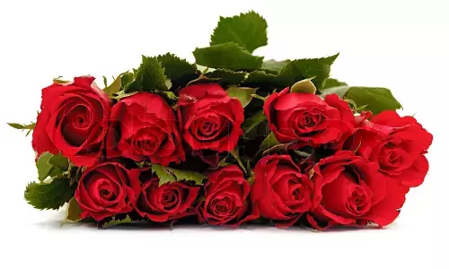 ಪ್ರಮುಖ ನಗರಿಗಳಿಗೆ ತಾಜ್ ಮಹಲ್ ಗುಲಾಬಿ: ಯೂರೋಪಿಯನ್ ರಾಷ್ಟ್ರಗಳಿಗೆ ಹೂವುಗಳು ರಫ್ತು