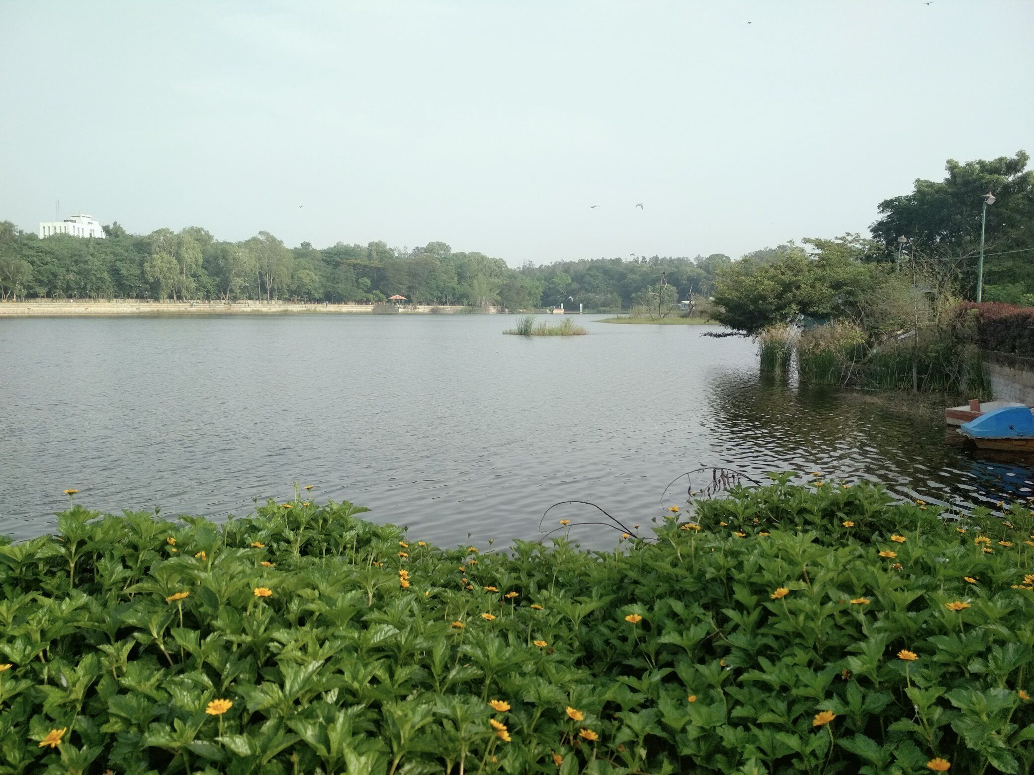 ಬೆಂಗಳೂರು | ಸ್ಯಾಂಕಿ ಕೆರೆಯಲ್ಲಿ ಅಪರಿಚಿತ ವ್ಯಕ್ತಿಯ ಶವ ಪತ್ತೆ