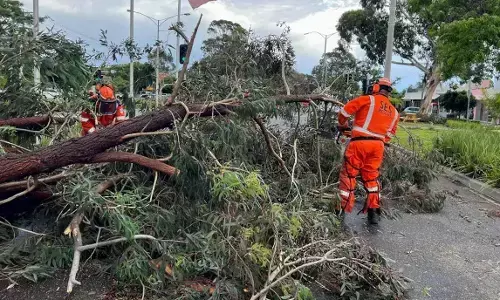 ಆಸ್ಟ್ರೇಲಿಯಾ: ಚಂಡಮಾರುತದ ಅಬ್ಬರ, ಓರ್ವ ಮೃತ್ಯು; ವ್ಯಾಪಕ ಹಾನಿ