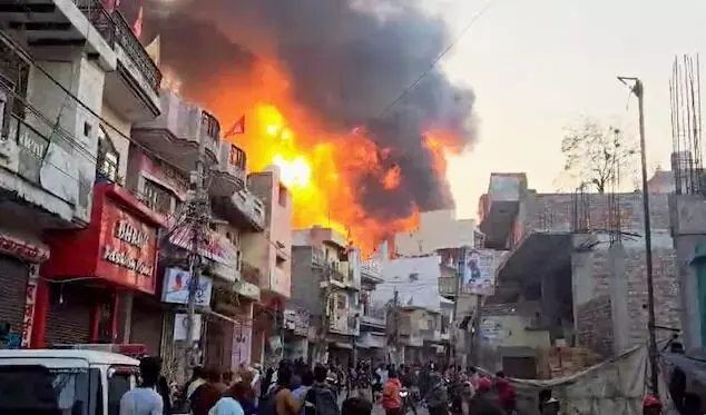 ದಿಲ್ಲಿ ಕಾರ್ಖಾನೆಯೊಂದರಲ್ಲಿ ಬೆಂಕಿ ಅವಘಡ: 11 ಮಂದಿ ಮೃತ್ಯು