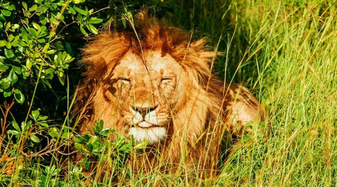 ಅಕ್ಬರ್-ಸೀತೆ ಜೋಡಿಯಾಗಲು ಸಾಧ್ಯವೇ ಇಲ್ಲ...!: ನ್ಯಾಯಾಲಯದ ಕದ ತಟ್ಟಿದ ವಿಶ್ವ ಹಿಂದೂ ಪರಿಷತ್ ಅಕ್ಬರ್-ಸೀತೆ ಜೋಡಿಯಾಗಲು ಸಾಧ್ಯವೇ ಇಲ್ಲ...!: ನ್ಯಾಯಾಲಯದ ಕದ ತಟ್ಟಿದ ವಿಶ್ವ ಹಿಂದೂ ಪರಿಷತ್