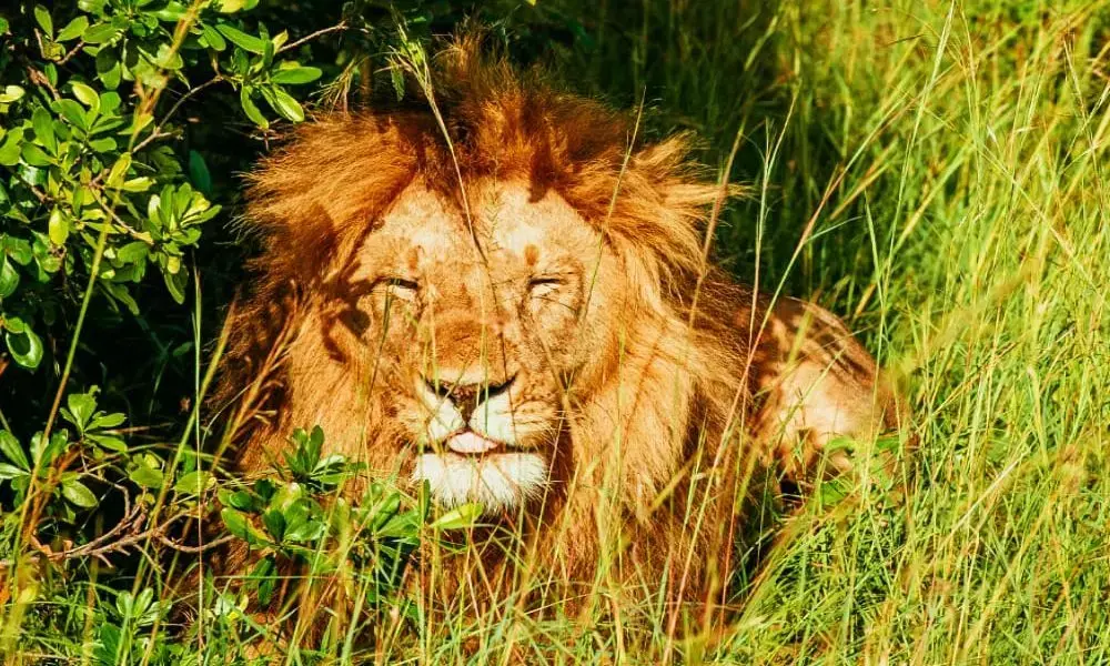 ಅಕ್ಬರ್-ಸೀತೆ ಜೋಡಿಯಾಗಲು ಸಾಧ್ಯವೇ ಇಲ್ಲ...!: ನ್ಯಾಯಾಲಯದ ಕದ ತಟ್ಟಿದ ವಿಶ್ವ ಹಿಂದೂ ಪರಿಷತ್