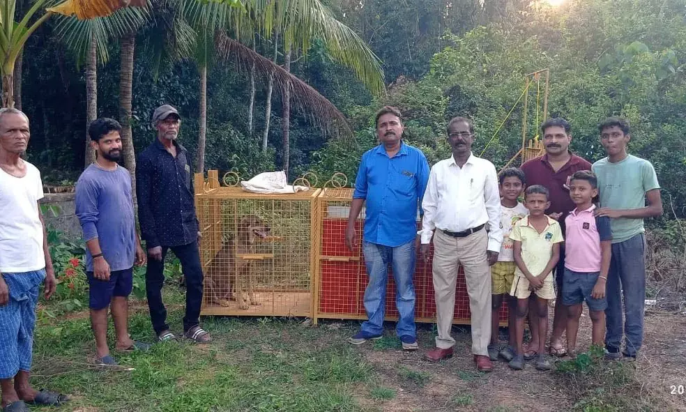 ಮಣಿಪಾಲ ಪರಿಸರದಲ್ಲಿ ಚಿರತೆಗಳ ಓಡಾಟ: ಅರಣ್ಯ ಇಲಾಖೆಯಿಂದ ಕಾರ್ಯಾಚರಣೆ