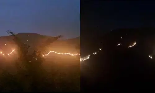 ಚಿಕ್ಕಮಗಳೂರು | ಕೆಮ್ಮಣ್ಣುಗುಂಡಿ ಗಿರಿಧಾಮದ ವ್ಯಾಪ್ತಿಯಲ್ಲಿ ಕಾಡ್ಗಿಚ್ಚು