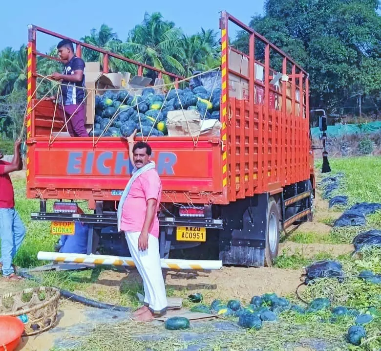 ವೈಜ್ಞಾನಿಕ ಪದ್ಧತಿಯ ಸಮಗ್ರ ಕೃಷಿಯಲ್ಲಿ ರೈತನ ಸಾಧನೆ; ಹಡಿಲು ಭೂಮಿ ಹಸಿರಾಗಿಸಿದ ಬೈಂದೂರು ನಾಗೂರಿನ ಸುಬ್ಬಣ್ಣ ಶೆಟ್ಟಿ ವೈಜ್ಞಾನಿಕ ಪದ್ಧತಿಯ ಸಮಗ್ರ ಕೃಷಿಯಲ್ಲಿ ರೈತನ ಸಾಧನೆ; ಹಡಿಲು ಭೂಮಿ ಹಸಿರಾಗಿಸಿದ ಬೈಂದೂರು ನಾಗೂರಿನ ಸುಬ್ಬಣ್ಣ ಶೆಟ್ಟಿ