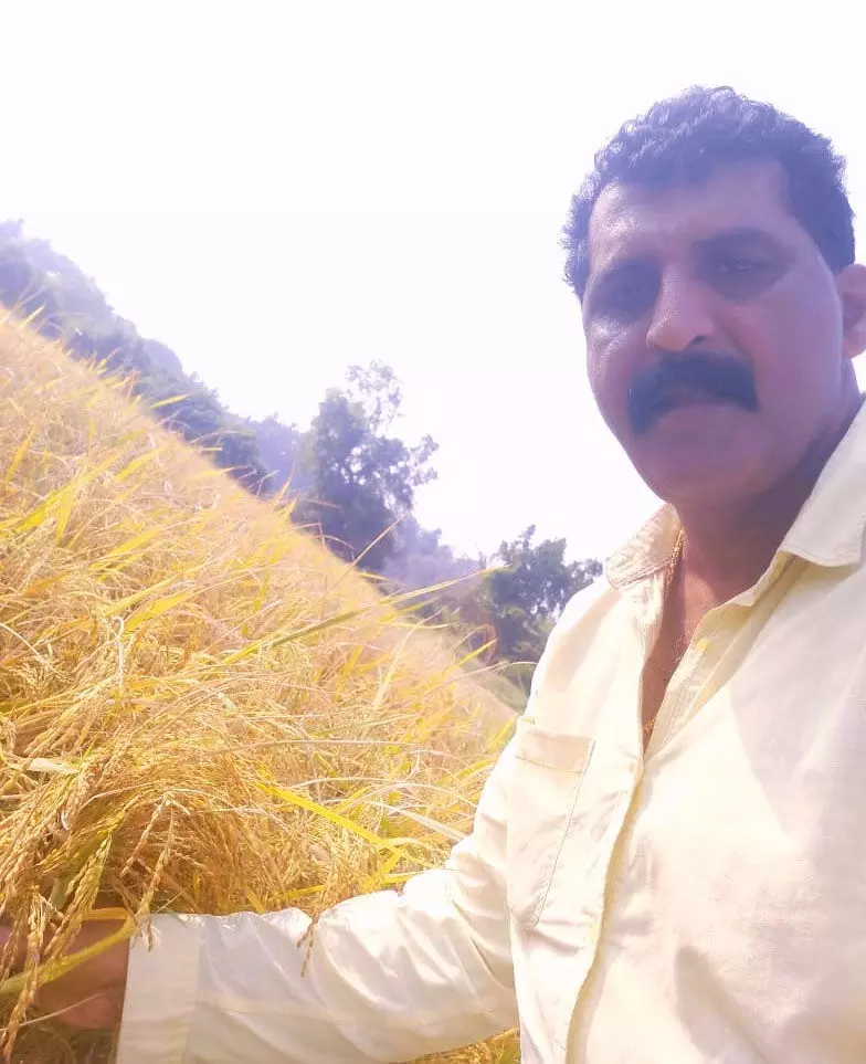 ವೈಜ್ಞಾನಿಕ ಪದ್ಧತಿಯ ಸಮಗ್ರ ಕೃಷಿಯಲ್ಲಿ ರೈತನ ಸಾಧನೆ; ಹಡಿಲು ಭೂಮಿ ಹಸಿರಾಗಿಸಿದ ಬೈಂದೂರು ನಾಗೂರಿನ ಸುಬ್ಬಣ್ಣ ಶೆಟ್ಟಿ ವೈಜ್ಞಾನಿಕ ಪದ್ಧತಿಯ ಸಮಗ್ರ ಕೃಷಿಯಲ್ಲಿ ರೈತನ ಸಾಧನೆ; ಹಡಿಲು ಭೂಮಿ ಹಸಿರಾಗಿಸಿದ ಬೈಂದೂರು ನಾಗೂರಿನ ಸುಬ್ಬಣ್ಣ ಶೆಟ್ಟಿ