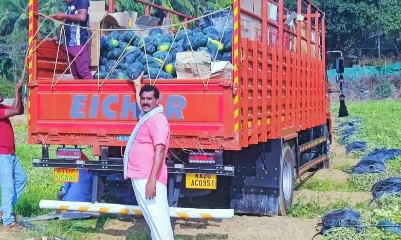 ವೈಜ್ಞಾನಿಕ ಪದ್ಧತಿಯ ಸಮಗ್ರ ಕೃಷಿಯಲ್ಲಿ ರೈತನ ಸಾಧನೆ; ಹಡಿಲು ಭೂಮಿ ಹಸಿರಾಗಿಸಿದ ಬೈಂದೂರು ನಾಗೂರಿನ ಸುಬ್ಬಣ್ಣ ಶೆಟ್ಟಿ