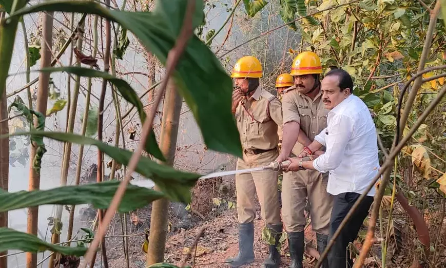 ಗೇರು ತೋಪಿಗೆ ಬೆಂಕಿ: ನಂದಿಸಲು ಸಹಕರಿಸಿದ ಶಾಸಕ ಅಶೋಕ್ ರೈ