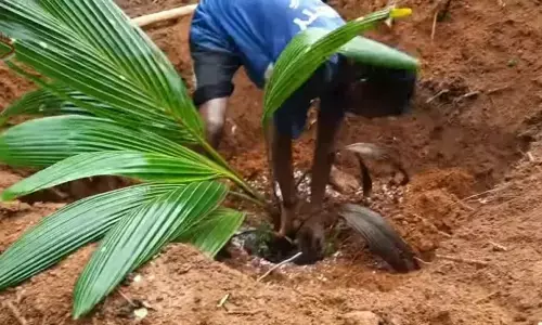 ಕಾರ್ಬನ್ ಕ್ರೆಡಿಟ್ ಕಾರ್ಡ್ ಸ್ಕೀಂ ಎಂದು ರೈತರ ಕಣ್ಣೊರೆಸುವ ತಂತ್ರಗಳು