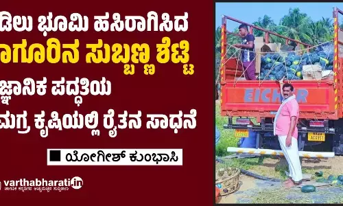 ಹಡಿಲು ಭೂಮಿ ಹಸಿರಾಗಿಸಿದ ನಾಗೂರಿನ ಸುಬ್ಬಣ್ಣ ಶೆಟ್ಟಿ