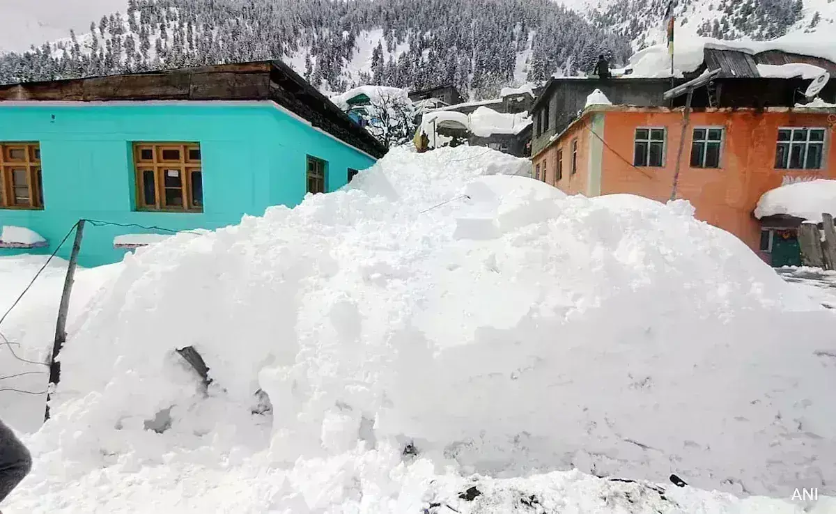 ಹಿಮಾಚಲ ಪ್ರದೇಶ | ಸ್ಪಿತಿ ಗ್ರಾಮಕ್ಕೆ ಅಪ್ಪಳಿಸಿದ ಹಿಮಪಾತ: ಮಳೆ, ಹಿಮ ಸುರಿಯುವಿಕೆಯಿಂದ 650 ರಸ್ತೆಗಳು ಬಂದ್