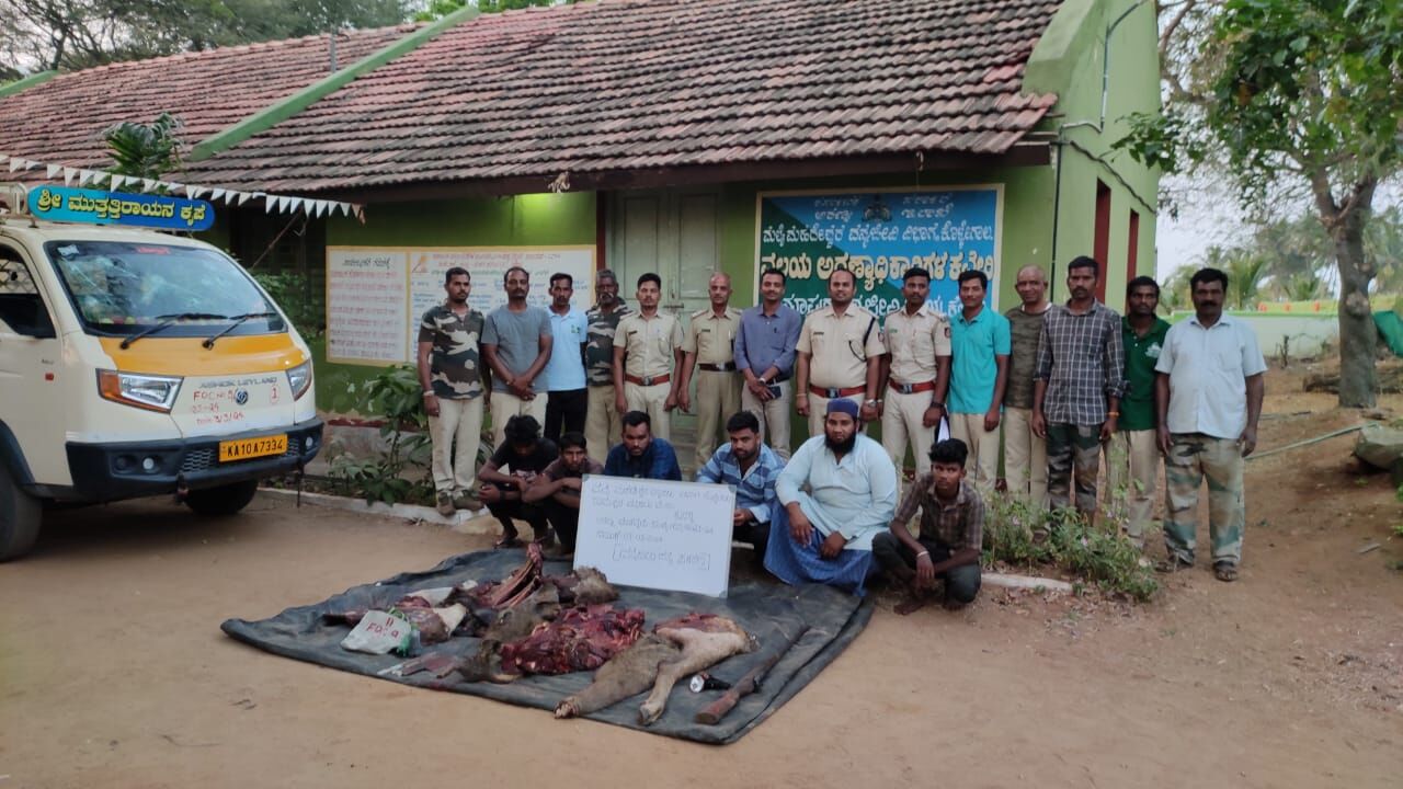 ಹನೂರು :  ಕಡವೆಯನ್ನು ಬೇಟೆಯಾಡಿ ಮಾಂಸ ಸಾಗಾಣಿಕೆ ಮಾಡುತ್ತಿದ್ದ ಆರೋಪ : ಆರು ಮಂದಿಯ ಬಂಧನ