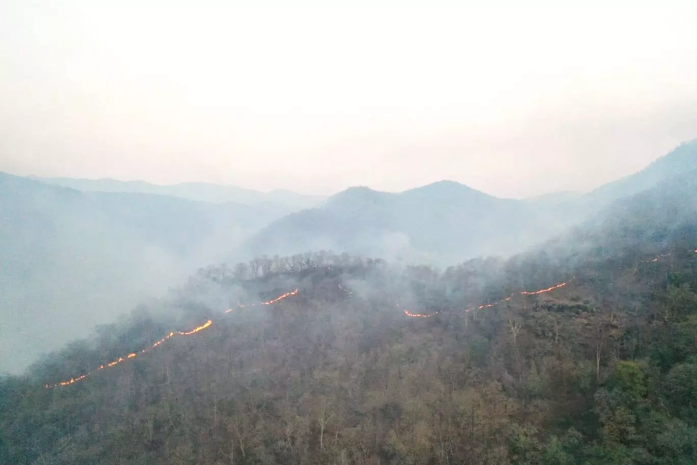 ಚಾಮರಾಜನಗರ: ಕಾಡ್ಗಿಚ್ಚಿಗೆ 60 ಎಕರೆಯಷ್ಟು ಕಾಡಿನ ನೆಲ ಹಾಸು ನಾಶ ಚಾಮರಾಜನಗರ: ಕಾಡ್ಗಿಚ್ಚಿಗೆ 60 ಎಕರೆಯಷ್ಟು ಕಾಡಿನ ನೆಲ ಹಾಸು ನಾಶ