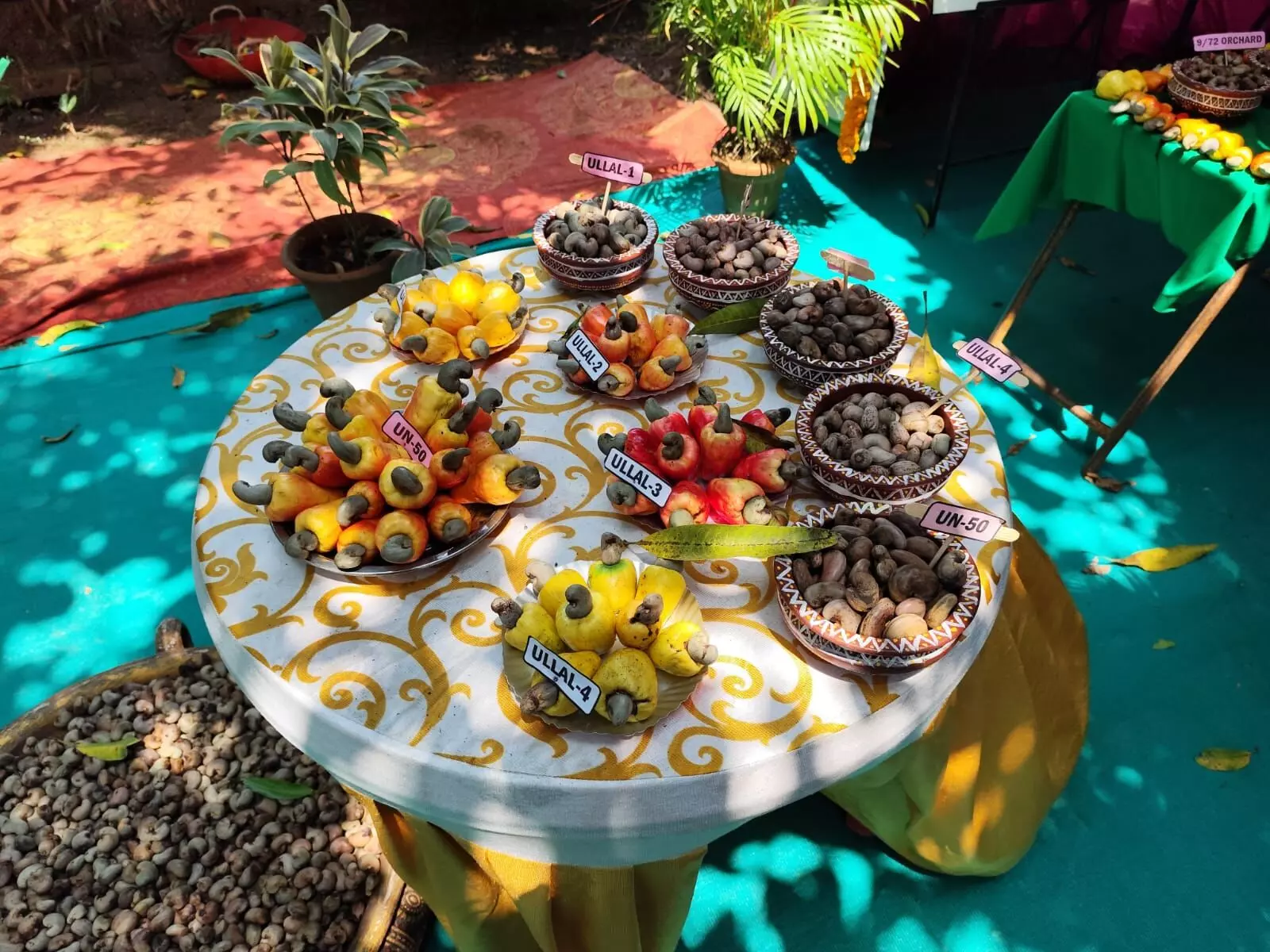 ಉಳ್ಳಾಲ: ಗೇರು ಮೇಳ, ವಿಚಾರ ಸಂಕಿರಣ 2024 ಉಳ್ಳಾಲ: ಗೇರು ಮೇಳ, ವಿಚಾರ ಸಂಕಿರಣ 2024