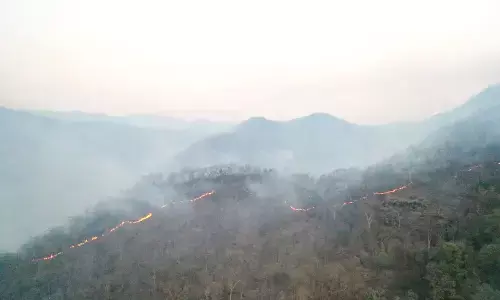ಚಾಮರಾಜನಗರ: ಕಾಡ್ಗಿಚ್ಚಿಗೆ   60 ಎಕರೆಯಷ್ಟು ಕಾಡಿನ ನೆಲ ಹಾಸು ನಾಶ