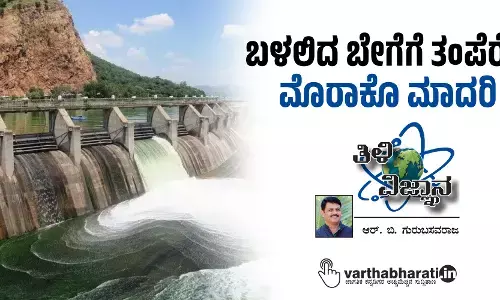 ಬಳಲಿದ ಬೇಗೆಗೆ ತಂಪೆರೆವ ಮೊರಾಕೊ ಮಾದರಿ