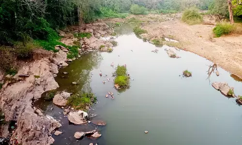 ಹೆಚ್ಚುತ್ತಿರುವ ಬಿಸಿಲು: ದ.ಕ. ಜಿಲ್ಲೆಯ ಡ್ಯಾಂಗಳಲ್ಲಿ ಇಳಿಕೆಯಾಗುತ್ತಿದೆ ನೀರು