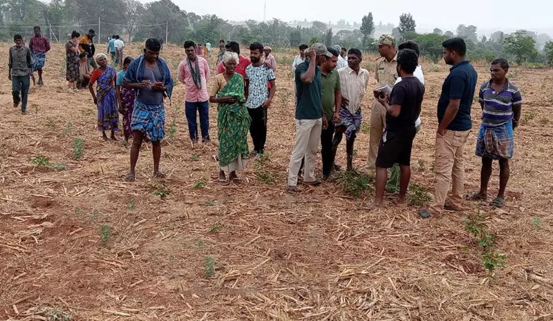 ಚಾಮರಾಜನಗರ: ಆನೆ ದಾಳಿಗೆ ವ್ಯಕ್ತಿ ಬಲಿ