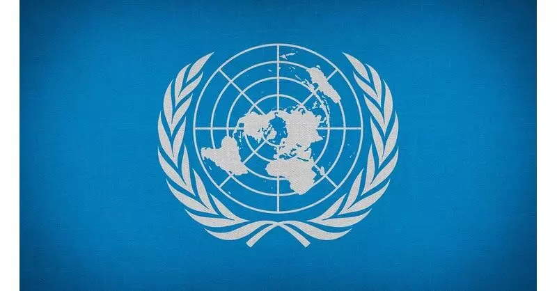 ಯುಎನ್ಎಸ್ಸಿ ಸುಧಾರಣೆಗೆ ಯುಎಫ್ಸಿ ಮಾದರಿ ಸೂಕ್ತವಲ್ಲ: ಭಾರತ