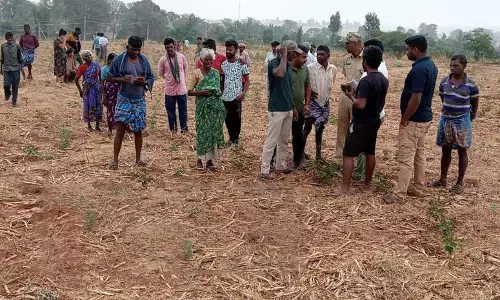 ಚಾಮರಾಜನಗರ: ಆನೆ ದಾಳಿಗೆ ವ್ಯಕ್ತಿ ಬಲಿ