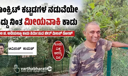 ಕಾಂಕ್ರಿಟ್ ಕಟ್ಟಡಗಳ ನಡುವೆಯೇ ಎದ್ದು ನಿಂತ ‘ಮೀಯವಾಕಿ’ ಕಾಡು