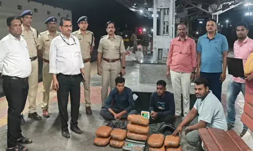 ಕಲಬುರಗಿ: ರೈಲಿನಲ್ಲಿ ಗಾಂಜಾ ಸಾಗಿಸುತ್ತಿದ್ದ ಇಬ್ಬರ ಬಂಧನ