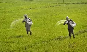 ಹರ್ಯಾಣ | 125 ವರ್ಷಗಳ ಹಿಂದೆ ರೂ. 90 ರೂ.ಗೆ ಒತ್ತೆ ಇಟ್ಟಿದ್ದ 1.6 ಎಕರೆ ಜಮೀನನ್ನು ಮರಳಿ ವಶಕ್ಕೆ ಪಡೆಯಲಿರುವ ಕುಟುಂಬ