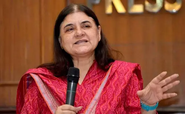 ವರುಣ್ ಗೆ ಟಿಕೆಟ್ ನಿರಾಕರಿಸಿರುವುದು ಅಚ್ಚರಿಯೇನಲ್ಲ: ಮೇನಕಾ ಸಮರ್ಥನೆ ವರುಣ್ ಗೆ ಟಿಕೆಟ್ ನಿರಾಕರಿಸಿರುವುದು ಅಚ್ಚರಿಯೇನಲ್ಲ: ಮೇನಕಾ ಸಮರ್ಥನೆ