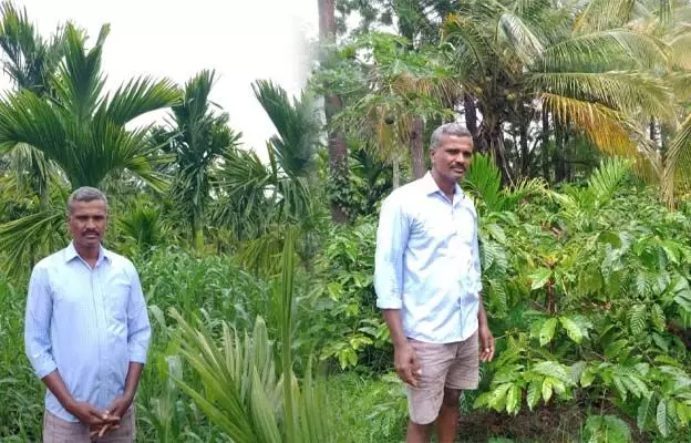 ಸಮಗ್ರ ಕೃಷಿಯಿಂದ ರೈತರಿಗೆ ಮಾದರಿಯಾದ ಕಪನಪ್ಪ
