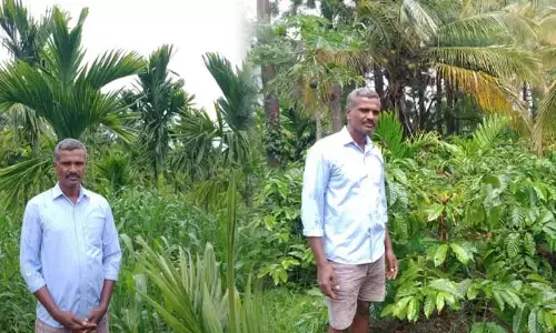 ಸಮಗ್ರ ಕೃಷಿಯಿಂದ ರೈತರಿಗೆ ಮಾದರಿಯಾದ ಕಪನಪ್ಪ