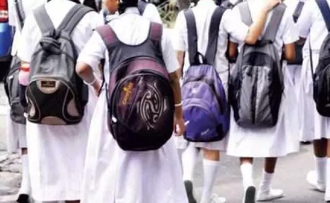 ಶಾಲೆಗಳ ವೇಳಾಪಟ್ಟಿ ಪ್ರಕಟ : ಮೇ 29ರಿಂದ ಶಾಲೆ ಪುನರಾರಂಭ