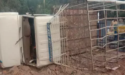 ಹಾಸನ | ಕೋಳಿ ತುಂಬಿದ್ದ ಪಿಕಪ್ ಪಲ್ಟಿ ; ನೂರಾರು ಕೋಳಿಗಳು ಸಾವು