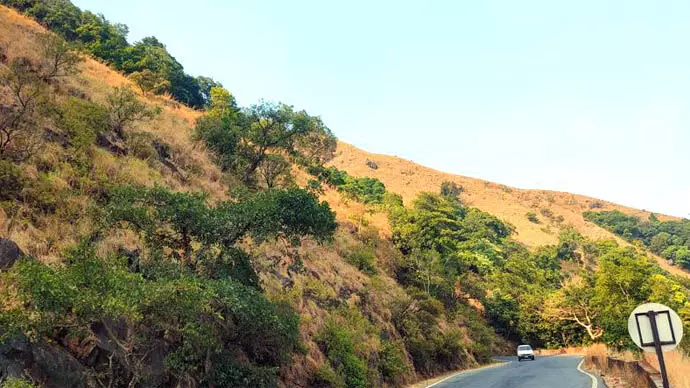 ಬಿರು ಬಿಸಿಲಿಗೆ ಒಣಗುತ್ತಿದೆ ಚಾರ್ಮಾಡಿ ಅರಣ್ಯ