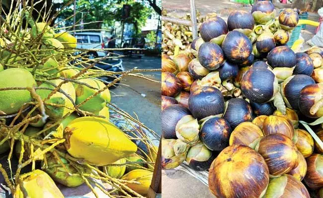 ಹೆಚ್ಚಿದ ಬಿಸಿಲಿನ ಕಾವು: ಕುಂದಾಪುರದಲ್ಲಿ ಸಿಯಾಳಕ್ಕೂ  ತತ್ವಾರ!