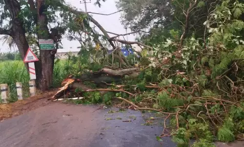 ಮಂಡ್ಯ | ಬಿಸಿಲ ಬೇಗೆಯಿಂದ ಬಸವಳಿದ್ದ ಜನತೆಗೆ ತಂಪೆರೆದ ಮಳೆ