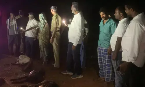 ದಾವಣಗೆರೆ | ಸಿಡಿಲು ಬಡಿದು 25 ಮೇಕೆಗಳು ಸಾವು