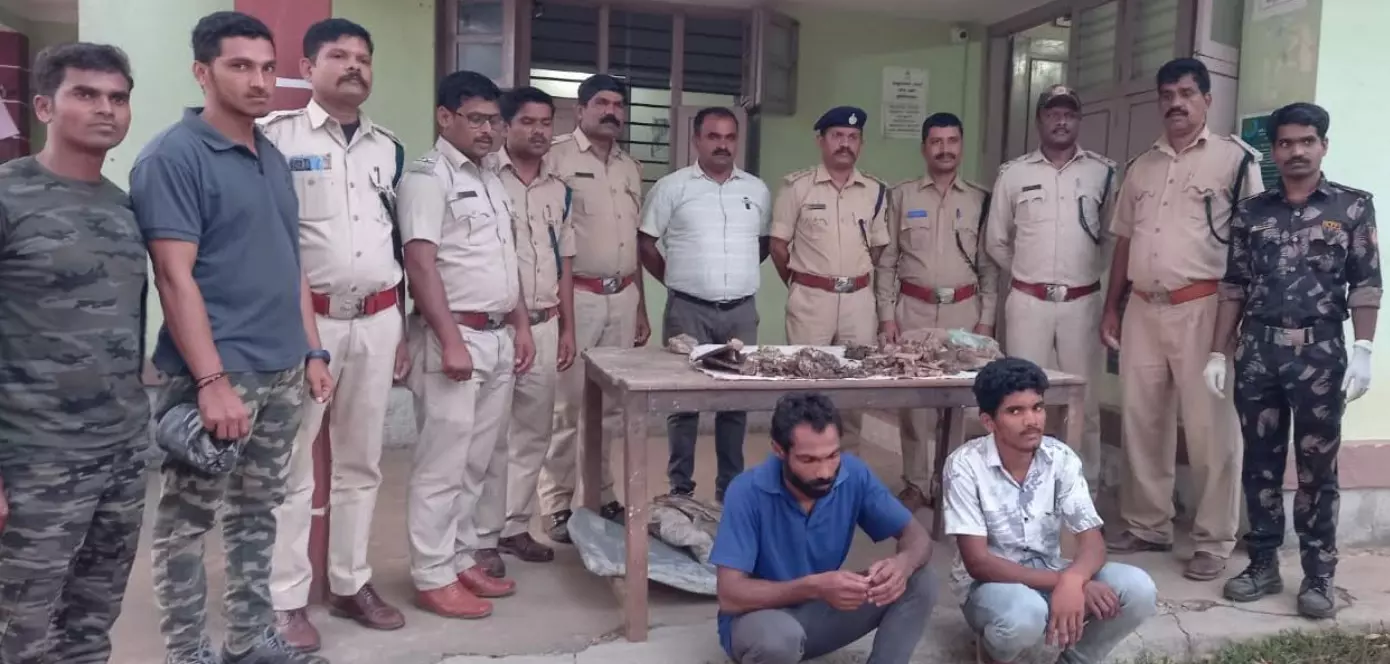 ಮೂಡಿಗೆರೆ | ಹುಲಿ ಹತ್ಯೆ ಆರೋಪ : ಇಬ್ಬರ ಬಂಧನ ಮೂಡಿಗೆರೆ | ಹುಲಿ ಹತ್ಯೆ ಆರೋಪ : ಇಬ್ಬರ ಬಂಧನ