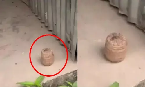 ಮೊದಲ ಹಂತದ ಮತದಾನದಂದೇ ಹಿಂಸಾಚಾರ: ಪಶ್ಚಿಮ ಬಂಗಾಳ ಬಿಜೆಪಿ ನಾಯಕನ ಮನೆಯಲ್ಲಿ ಬಾಂಬ್‌ ಪತ್ತೆ