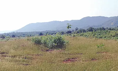 ಕಾಯ್ದಿಟ್ಟ ಅರಣ್ಯ ಪ್ರದೇಶದಲ್ಲಿ ಹೈಟೆಕ್ ಕೈಗಾರಿಕೆ