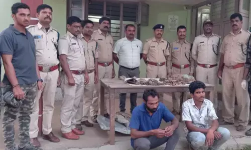 ಮೂಡಿಗೆರೆ | ಹುಲಿ ಹತ್ಯೆ ಆರೋಪ : ಇಬ್ಬರ ಬಂಧನ