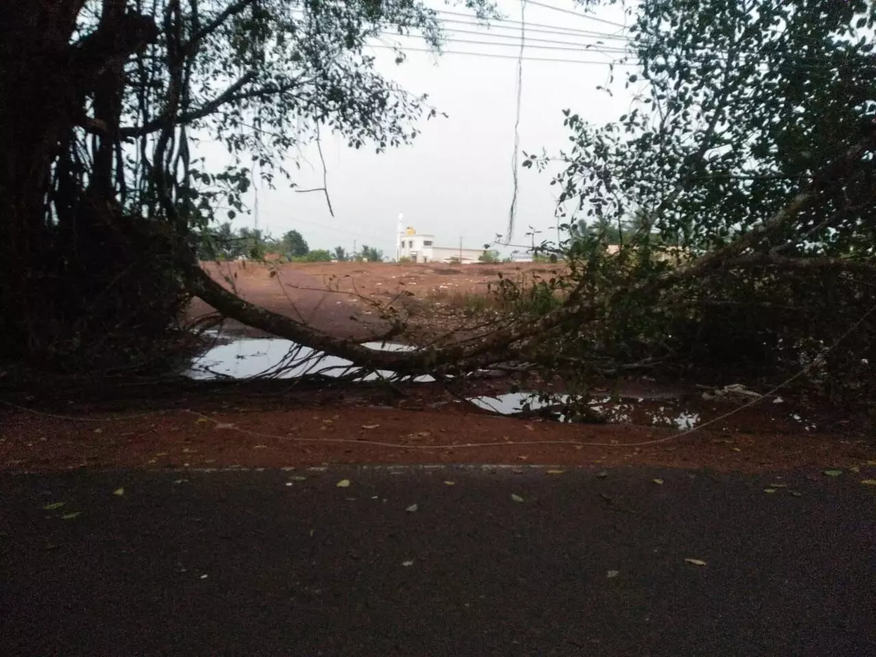 ಮಂಗಳೂರಿಗೆ ತಂಪೆರೆದ ಸಿಡಿಲು ಸಹಿತ ಮಳೆ