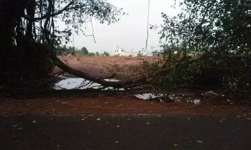 ಮಂಗಳೂರಿಗೆ ತಂಪೆರೆದ ಸಿಡಿಲು ಸಹಿತ ಮಳೆ