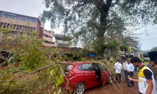 ಉಡುಪಿ: ಮಾರುಕಟ್ಟೆಯಲ್ಲಿ ಮರದ ಕೊಂಬೆ ಮುರಿದು ಬಿದ್ದು ಅಂಗಡಿ, ಕಾರಿಗೆ ಹಾನಿ