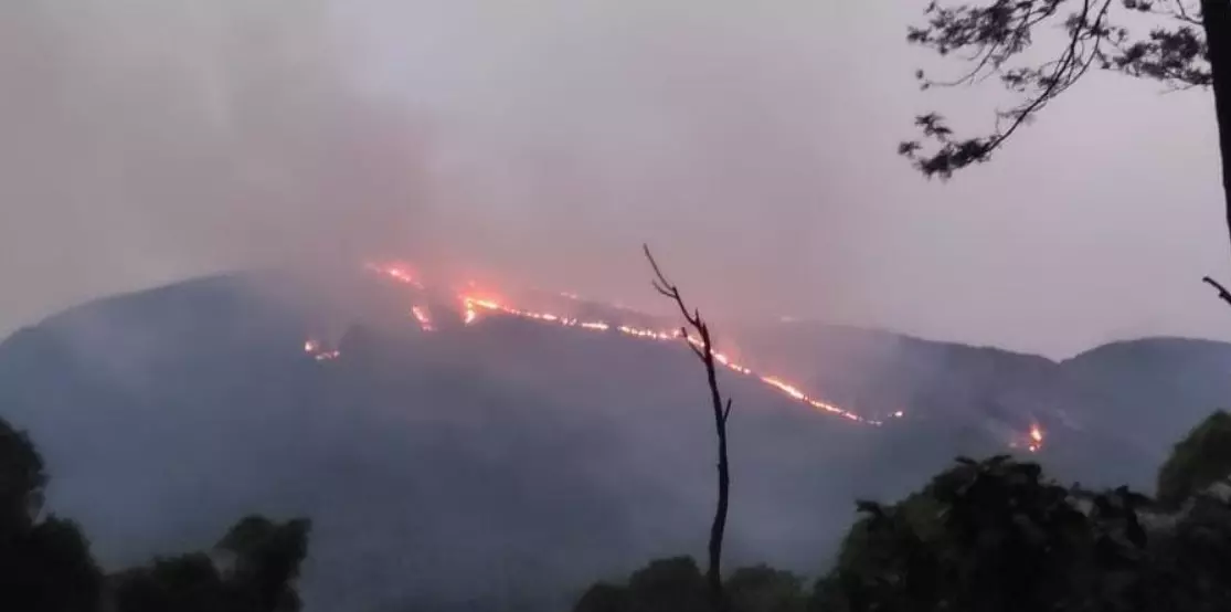 ಚಾಮರಾಜನಗರ | ಬೈಲೂರು ಅರಣ್ಯ ಪ್ರದೇಶದಲ್ಲಿ ಬೆಂಕಿ ; ಅಪಾರ ಪ್ರಮಾಣದ ವನ್ಯ ಸಂಪತ್ತು ಬೆಂಕಿಗಾಹುತಿ