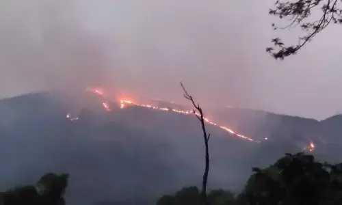 ಚಾಮರಾಜನಗರ | ಬೈಲೂರು ಅರಣ್ಯ ಪ್ರದೇಶದಲ್ಲಿ ಬೆಂಕಿ ; ಅಪಾರ ಪ್ರಮಾಣದ ವನ್ಯ ಸಂಪತ್ತು ಬೆಂಕಿಗಾಹುತಿ